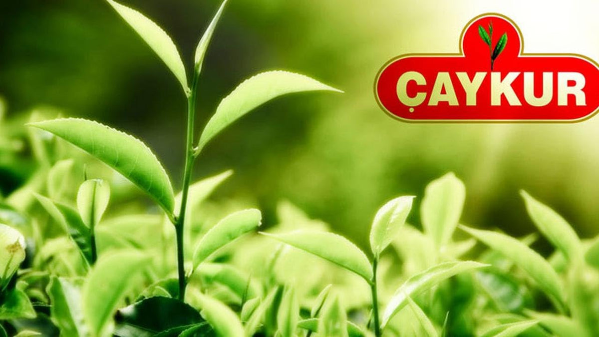 Caykur Rize Turist Turkish Black Tea 1000g