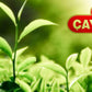 Caykur Rize Turist Turkish Black Tea 1000g