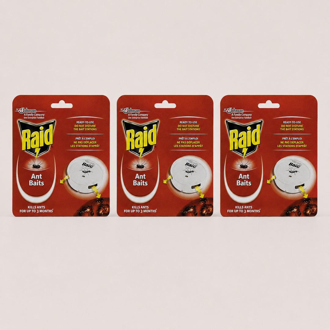 Raid Ant Bait (Pack of 3)