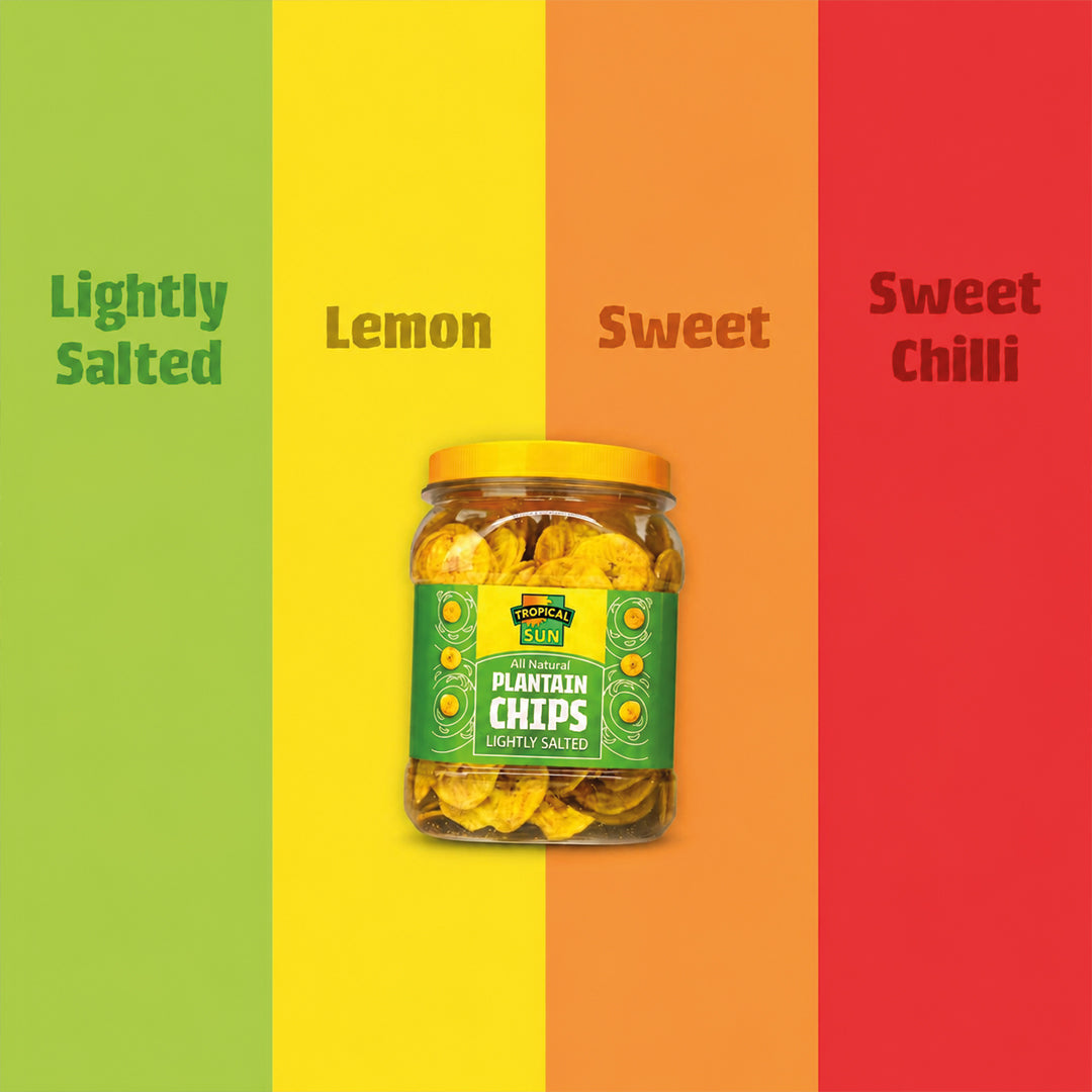 Tropical Sun Salted Plantain Chips, 450g (Pack of 1)